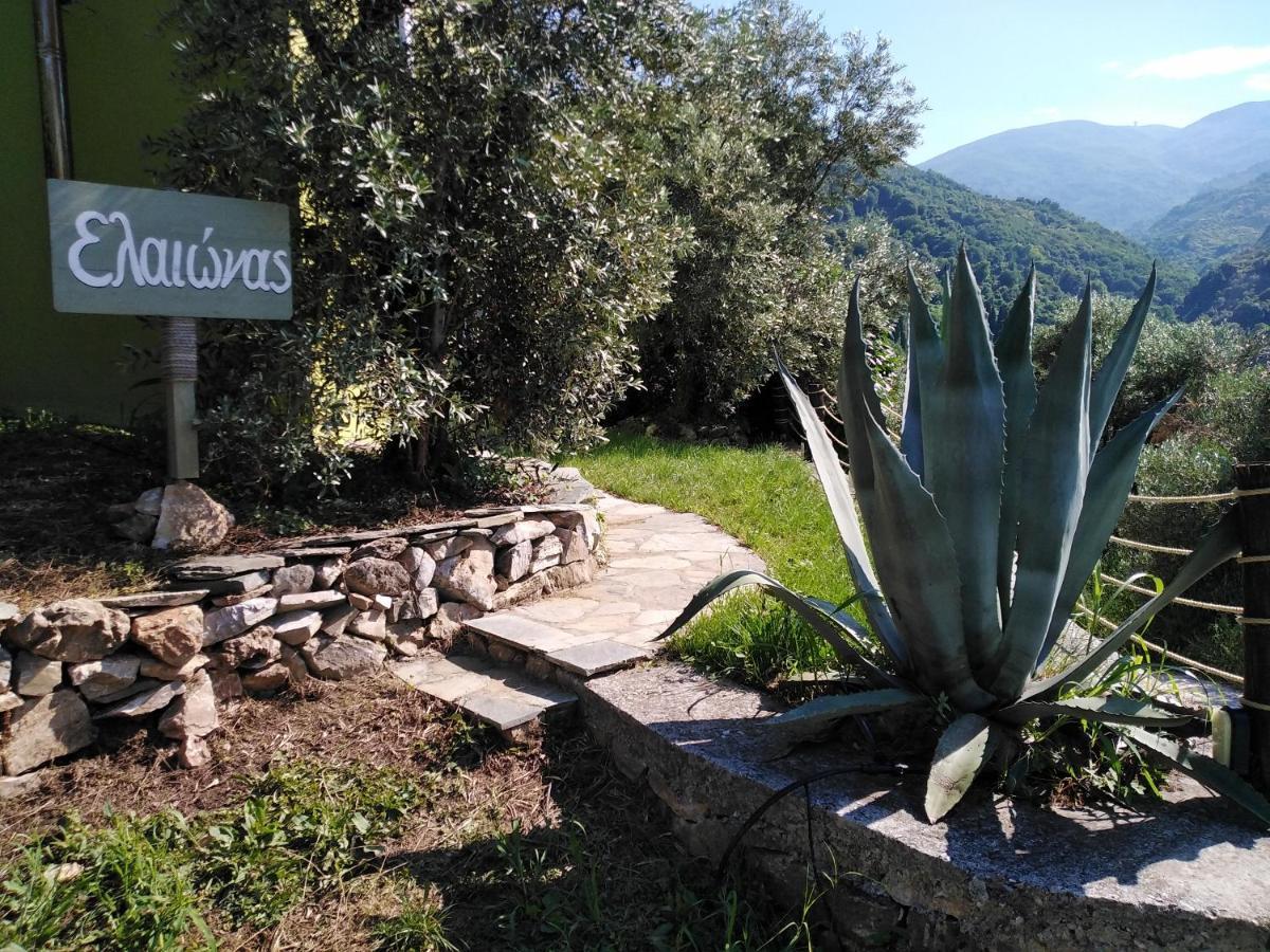 Holiday home ελαιώνας - Solar Energy House *