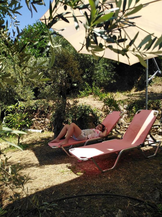 Holiday home ελαιώνας - Solar Energy House