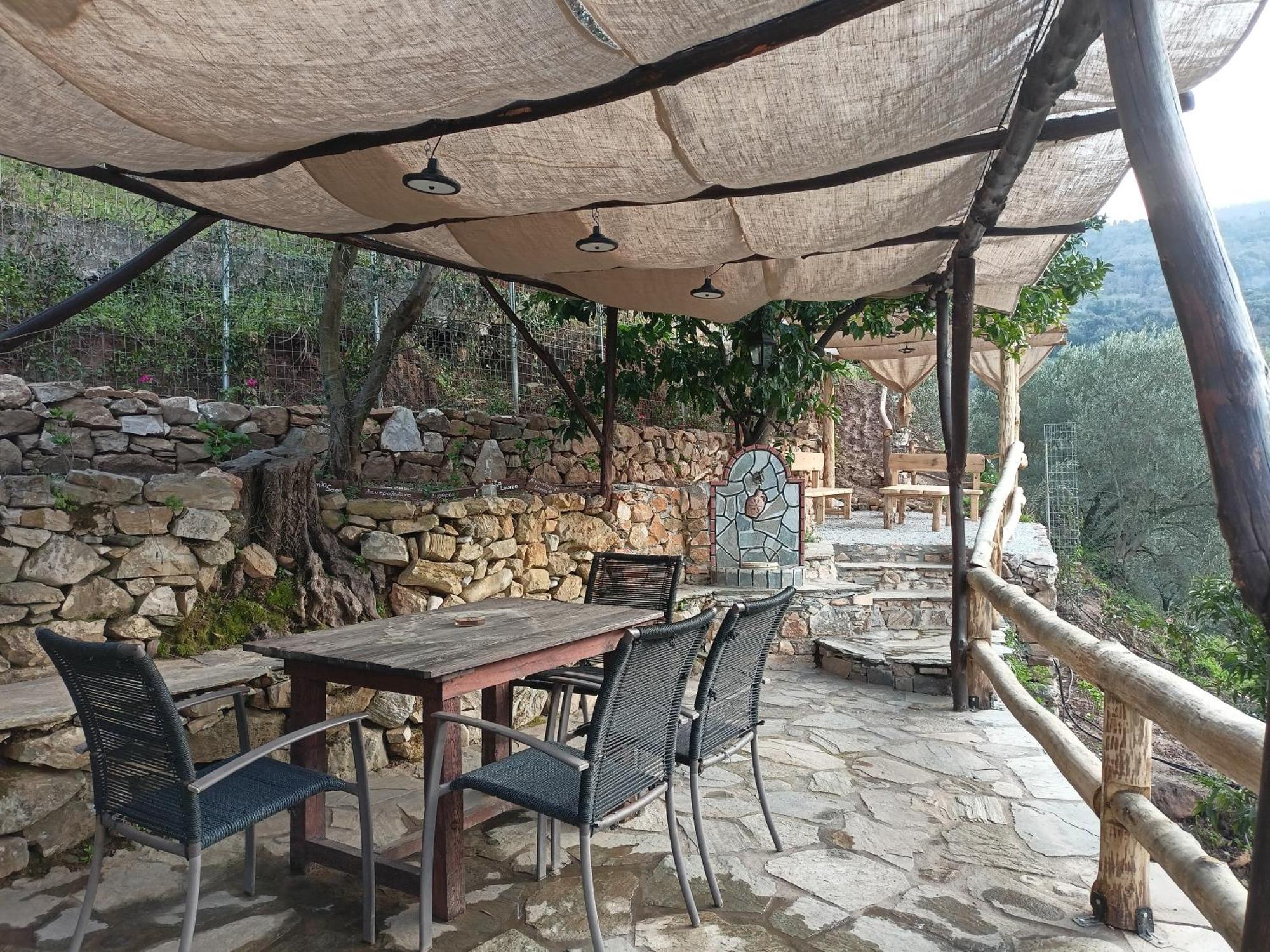 ελαιώνας - Solar Energy House Chorefton